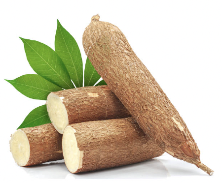 Cassava